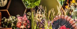 Новые возможности Moscow Flower Show – легендарный фестиваль впервые пройдёт виртуально