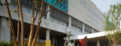 День открытых дверей в «Белом саду»