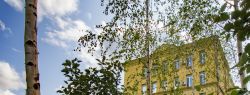 Впервые в России заработает онлайн-магазин готовых садов “от кутюр”