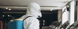 Как правильно дезинфицировать офисы, рестораны и другие общественные места от коронавируса