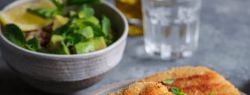 Vegafood — это экологичный подход к потреблению и осознанный выбор современных людей