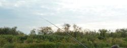 Рыбалка дарила вдохновение известным писателям