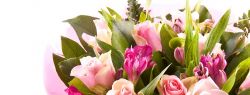 RussianFlora.ru: на доставку цветов и подарков объявлены летние скидки