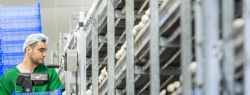 Компания «Грибная радуга» отчиталась о рекордных результатах по итогам 2020-го года