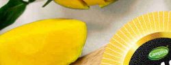 Новый Fruttis: отзывы о линейке XL, вкусы и состав.