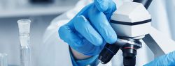 IQlab лаборатория: что такое анализы на аутоиммунные заболевания?