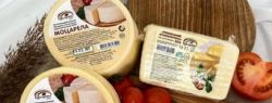 Полутвердые и кисломолочные сыры: виды и особенности подачи