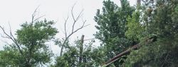 DNK Russia заявили, что готовы заменить ушедшие западные бренды одежды