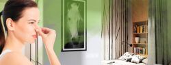 Как избавиться от неприятного запаха в квартире