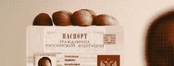 Пластиковая карта с чипом станет новым паспортом россиянина