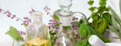 Растительная косметика — индивидуальный выбор