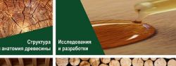 Pinotex раскрывает тайны дерева – профессиональная экспертиза в деревозащите становится доступна российским потребителям