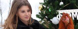 26 декабря День Фермера на Городской ферме ВДНХ