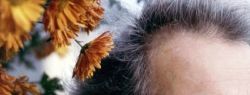 Журналистов ждут на пресс-конференции по поводу наследства писателя Генриха Сапгира
