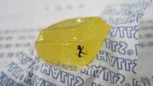 Картинки 20 апреля