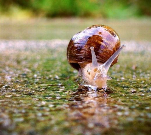 Картинки 20 апреля