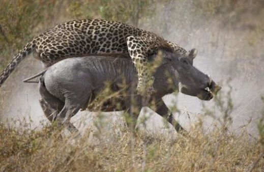 Картинки 21 апреля