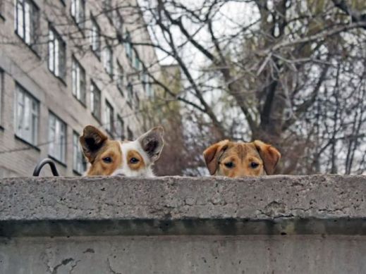 Картинки 22 апреля
