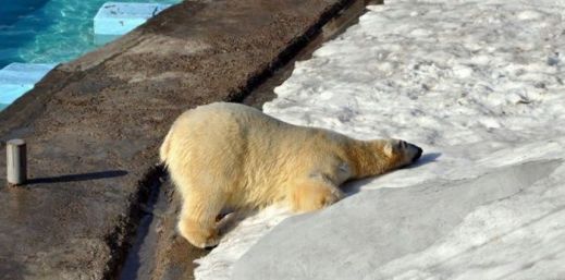 Картинки 23 апреля
