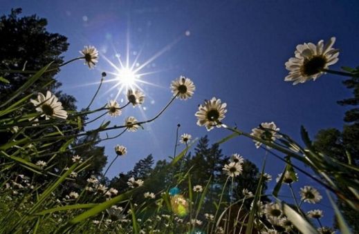 Картинки 26 апреля