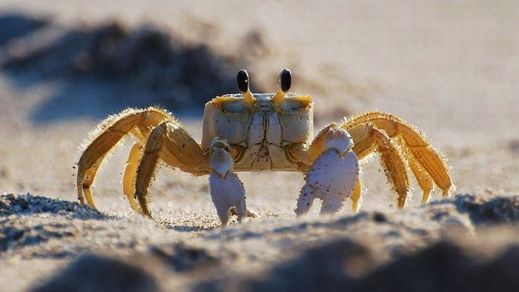 Картинки 26 апреля