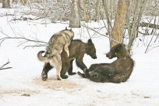 Картинки 27 апреля