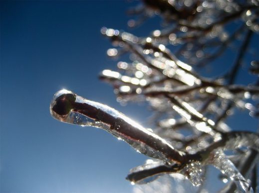 Зимняя сказка приближается