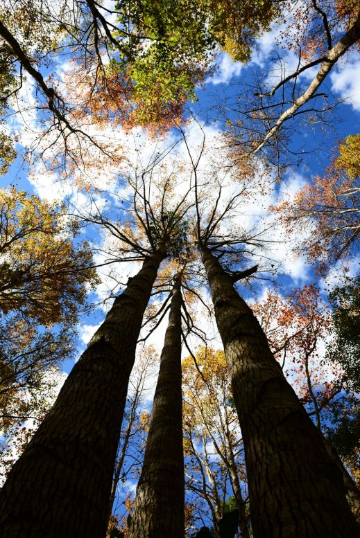 В ожидании весны