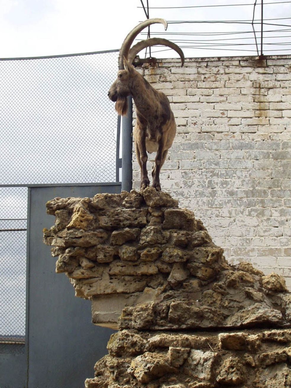 Не рядом, но удивительно