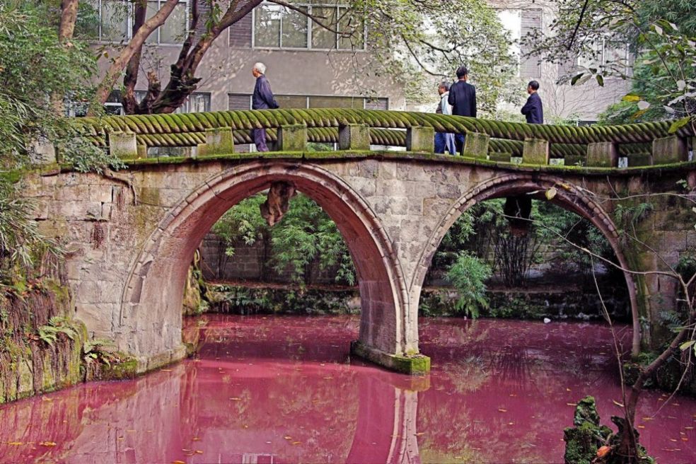 Эрлинг парк, Чунцин