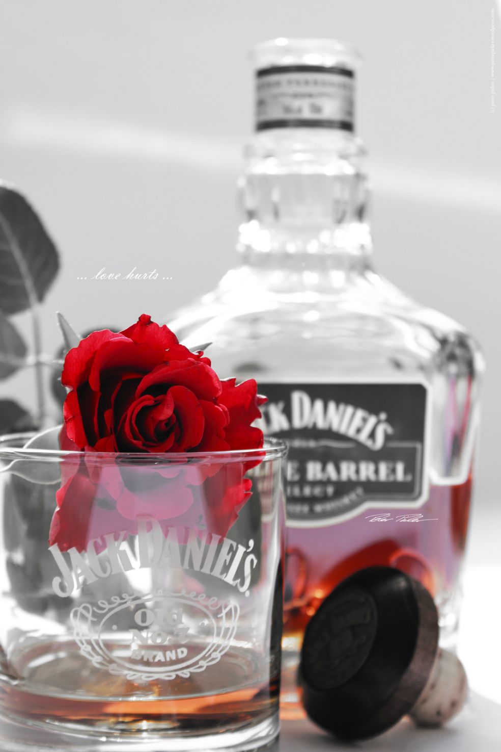 Jack Daniel’s виски и человек