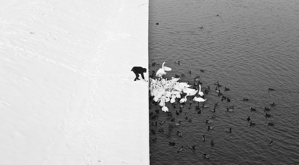 Впечатляющие фотографии первой половины 2013 года