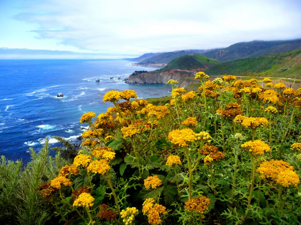 Big Sur — 90 миль красивейших пейзажей и пляжей Big Sur — 90 миль красивейших пейзажей и пляжей
