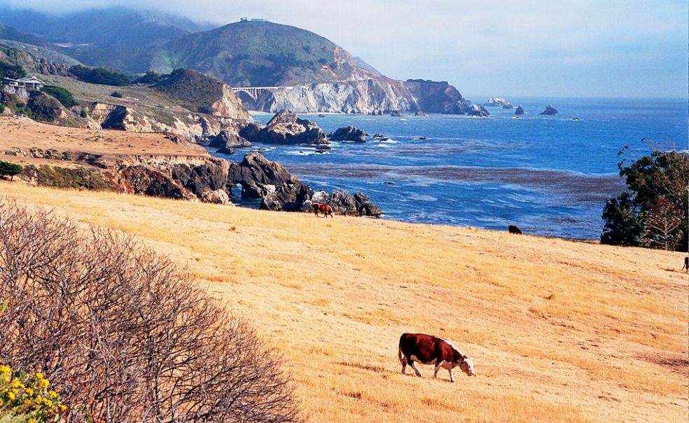 Big Sur — 90 миль красивейших пейзажей и пляжей Big Sur — 90 миль красивейших пейзажей и пляжей